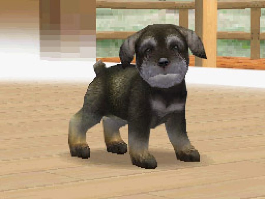 Nintendogs Screenshot