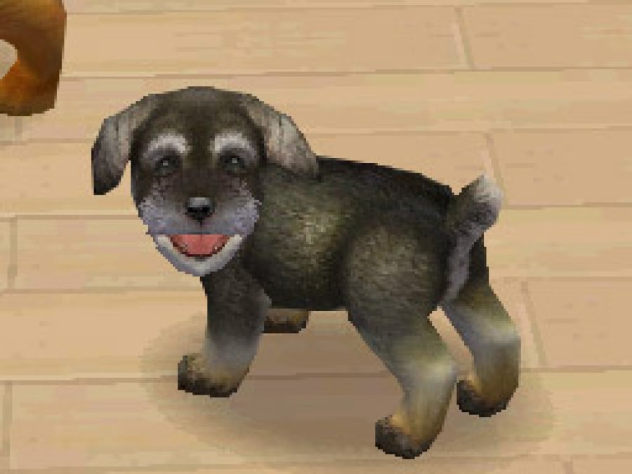 Nintendogs Screenshot