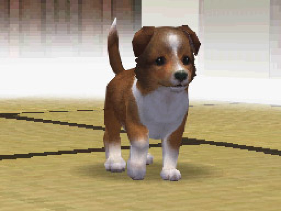 Nintendogs Screenshot