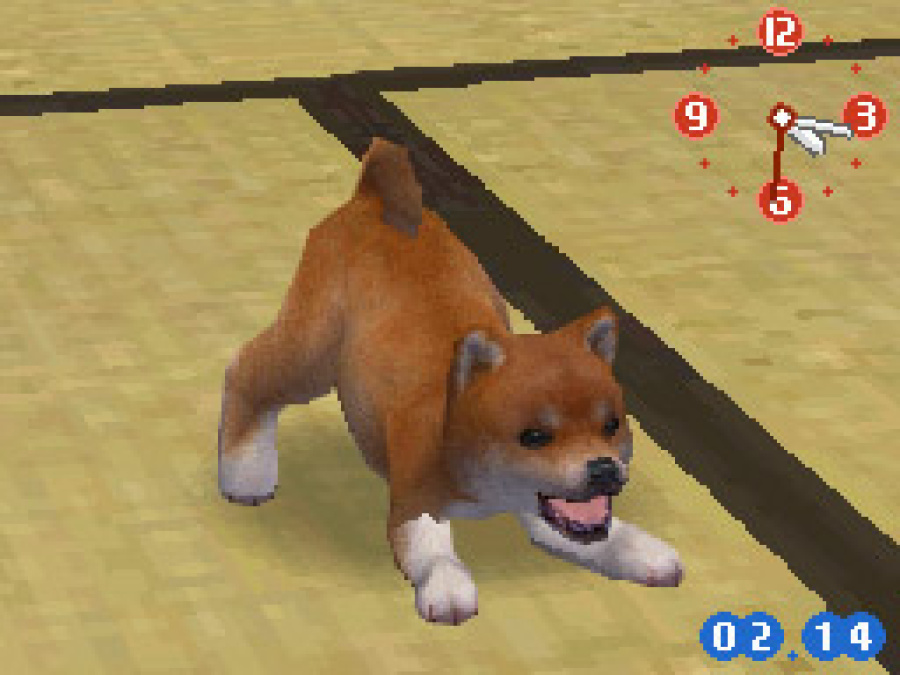 Nintendogs Screenshot