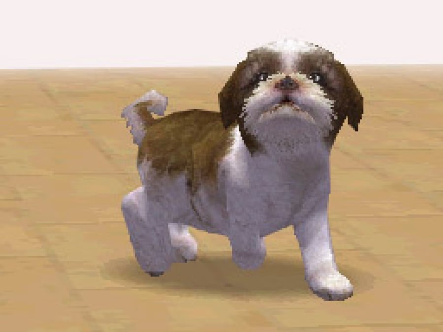 Nintendogs Screenshot