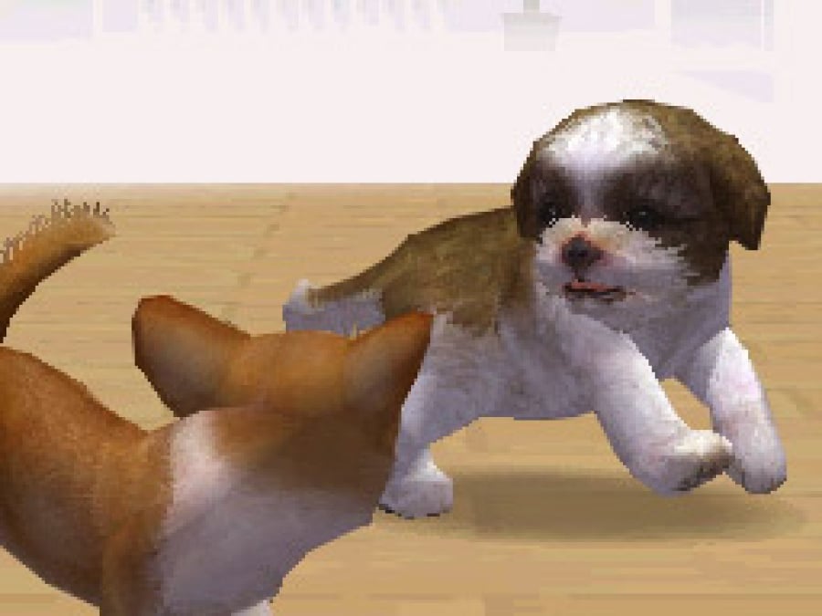 Nintendogs Screenshot