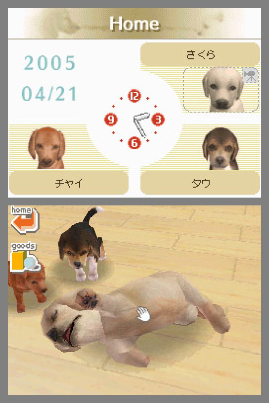 Nintendogs Screenshot