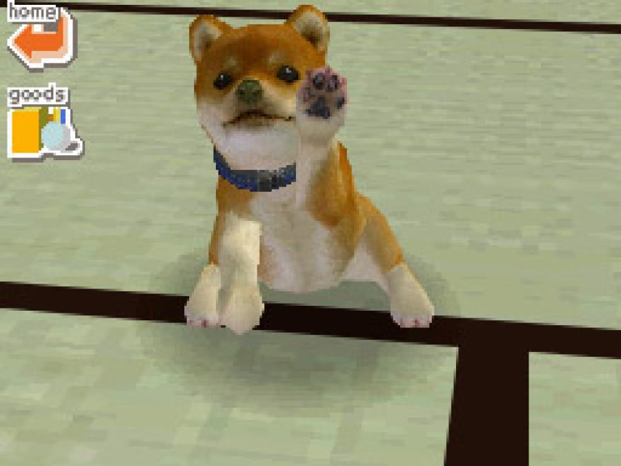 Nintendogs Screenshot