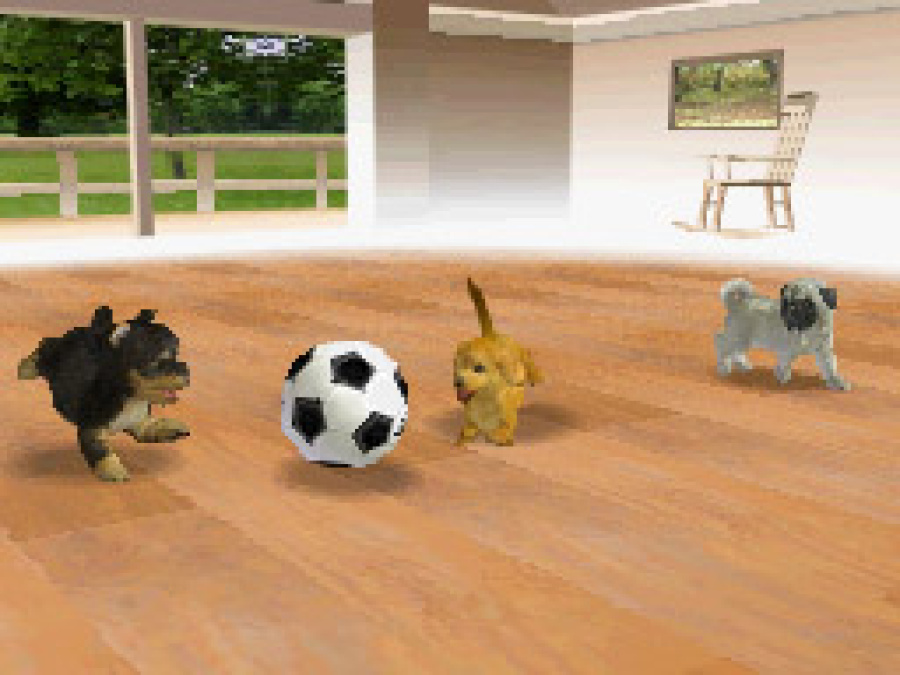 Nintendogs Screenshot