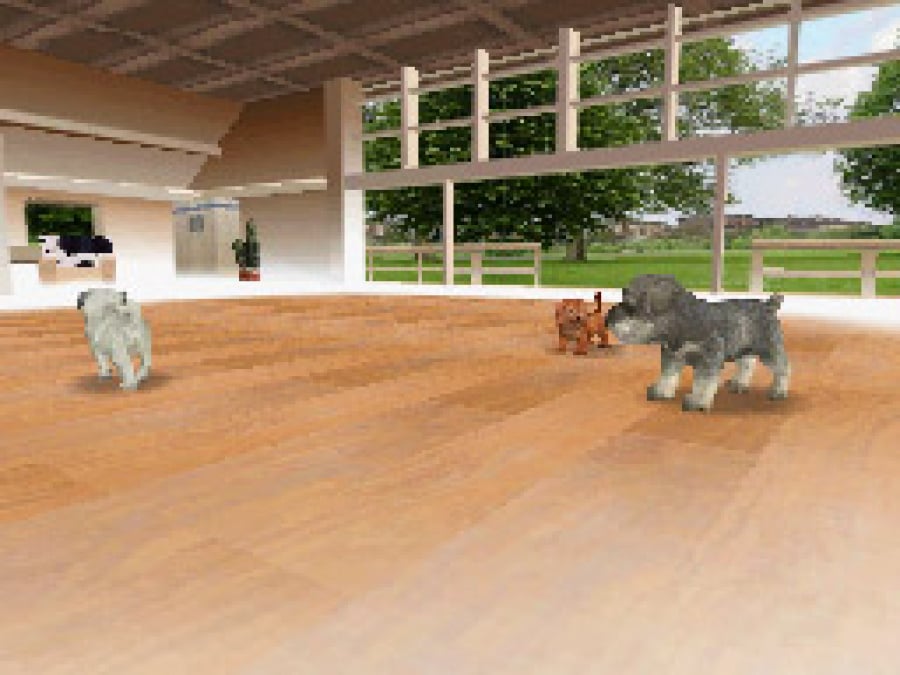 Nintendogs Screenshot