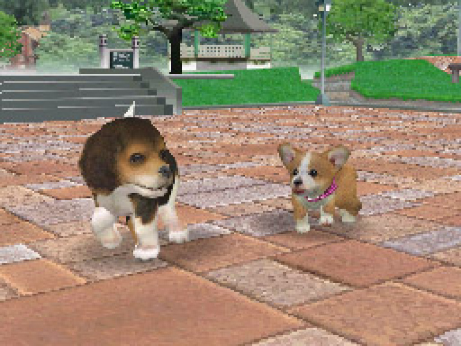 Nintendogs Screenshot