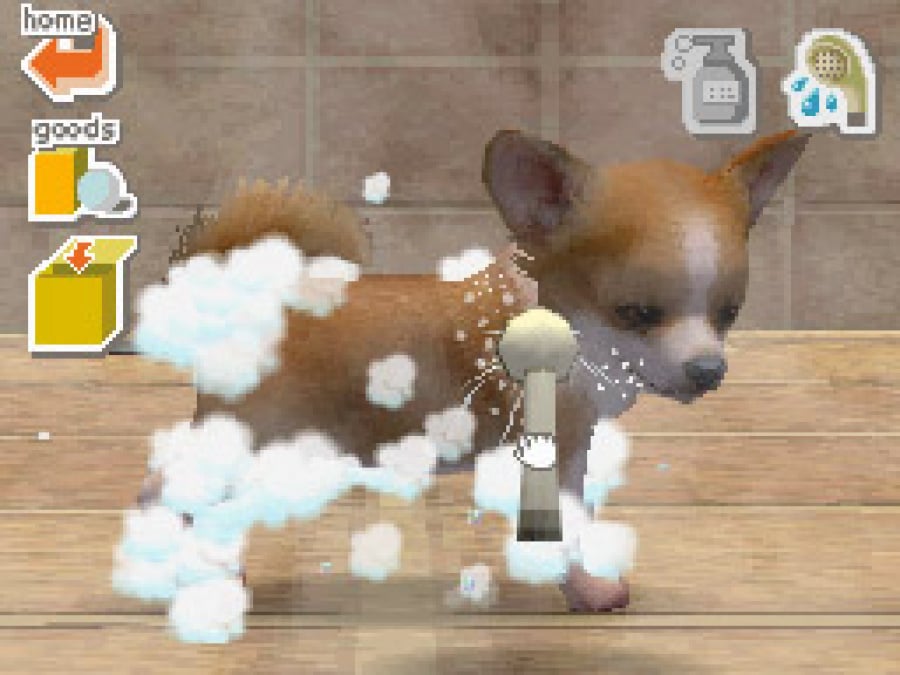 Nintendogs Screenshot