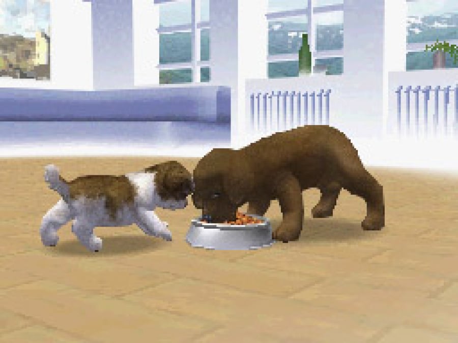 Nintendogs Screenshot