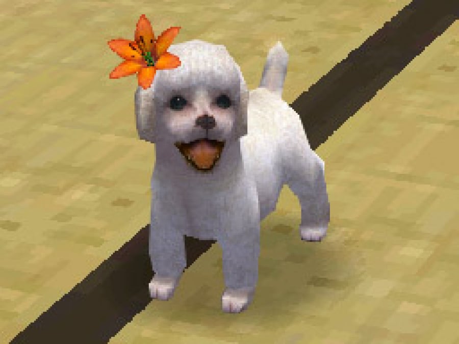 Nintendogs Screenshot