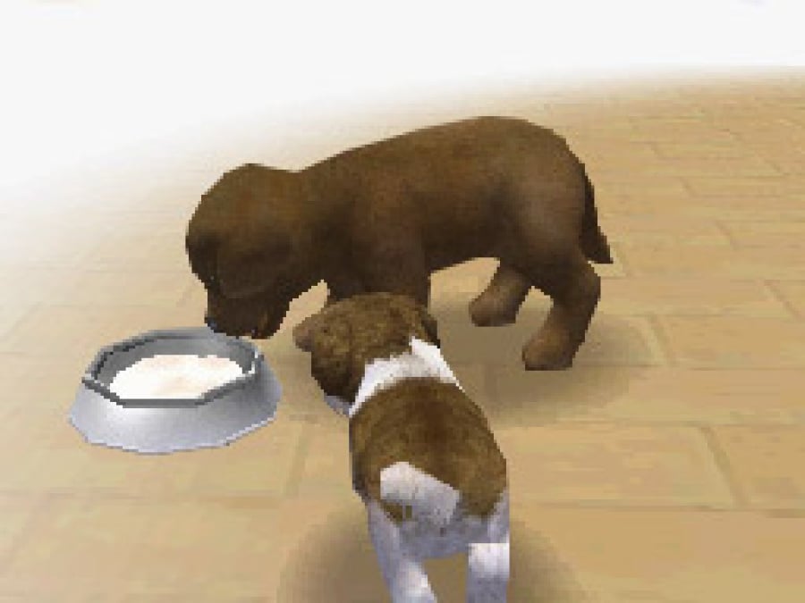 Nintendogs Screenshot