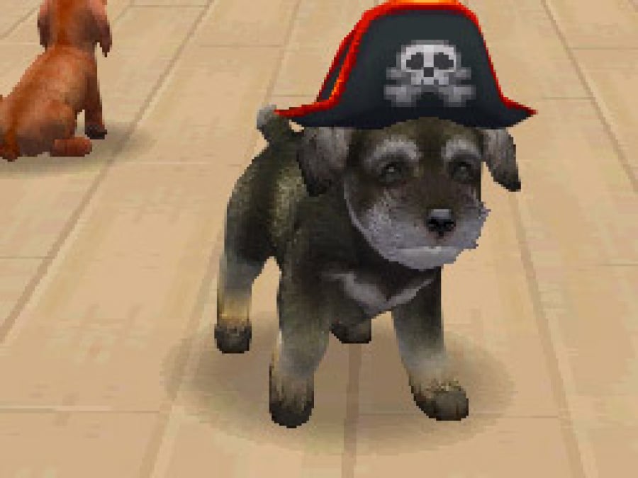 Nintendogs Screenshot