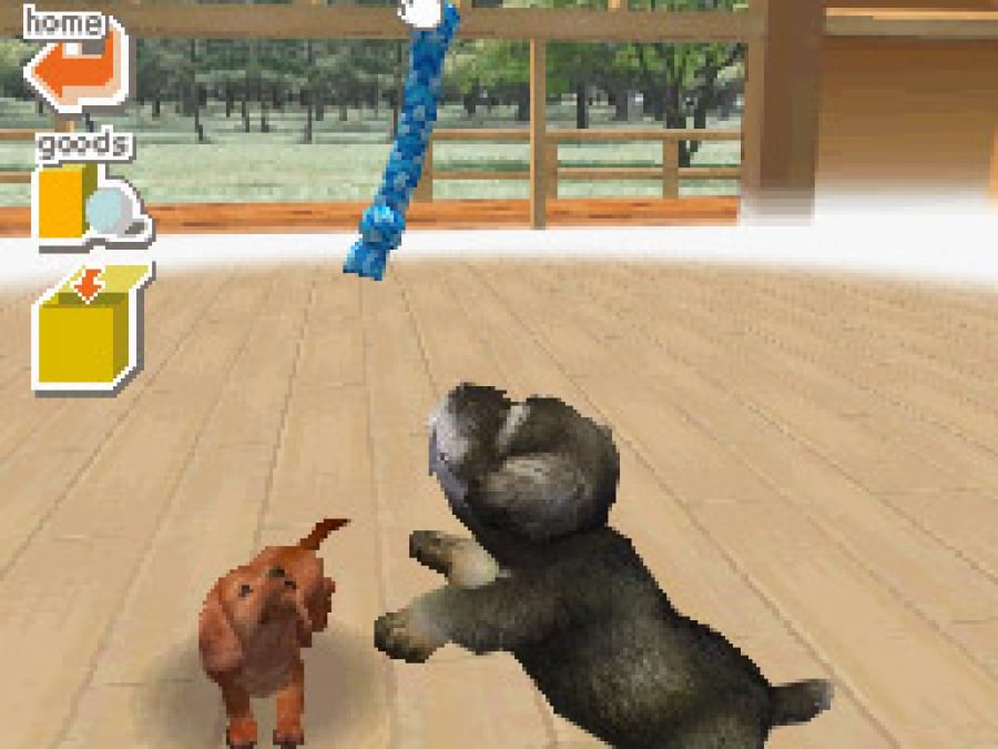 Nintendogs Screenshot