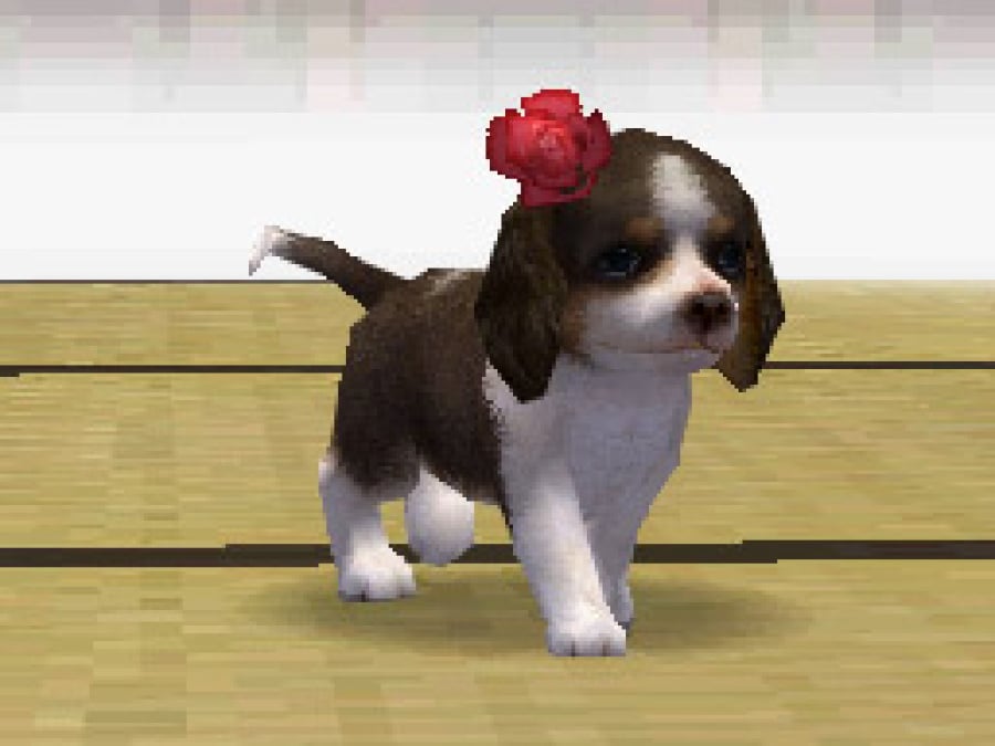 Nintendogs Screenshot