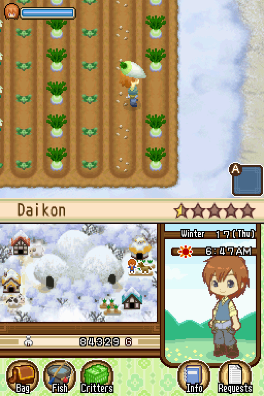 Harvest Moon DS: The Tale of Two Towns Screenshot