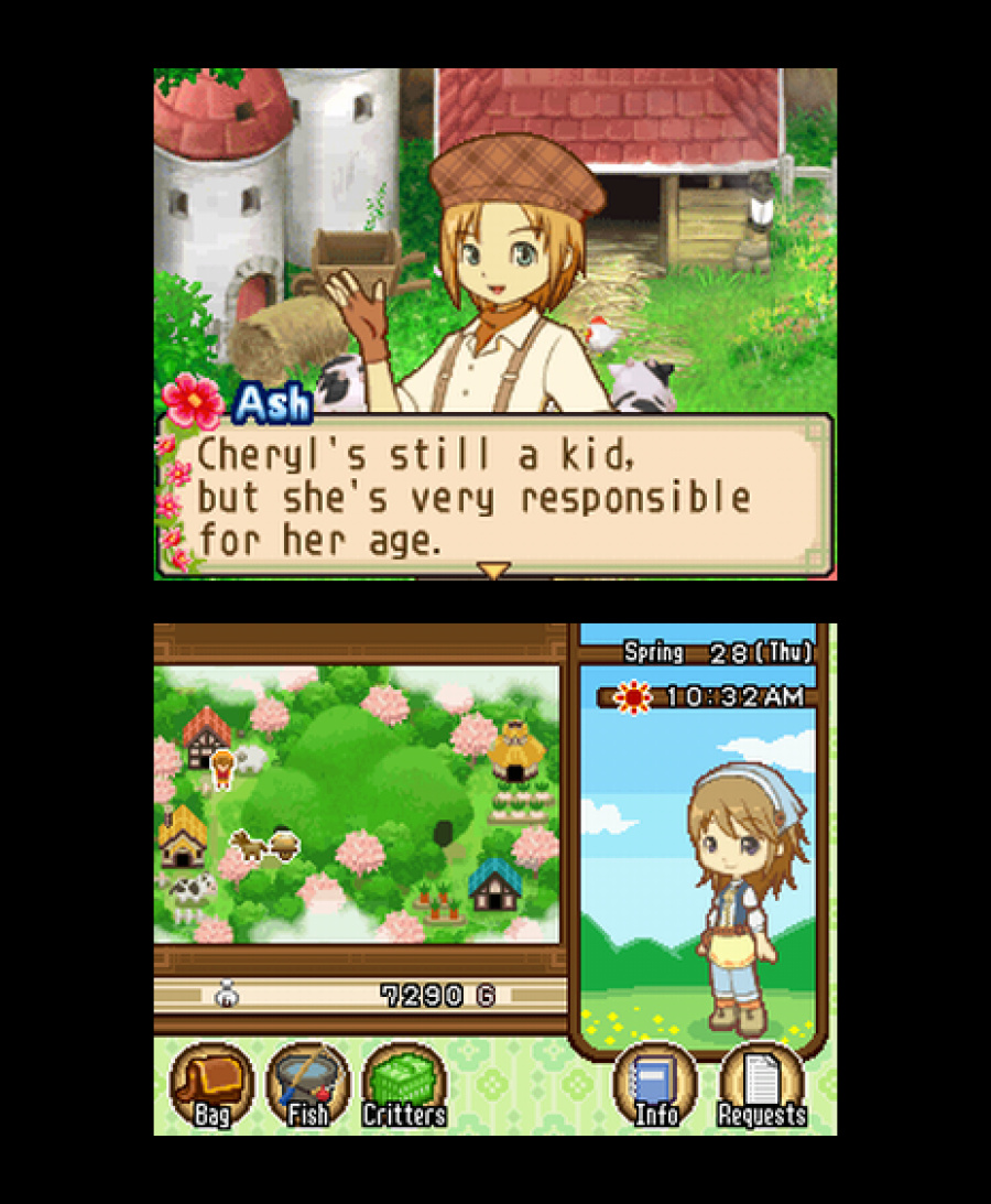 Harvest Moon DS: The Tale of Two Towns Screenshot