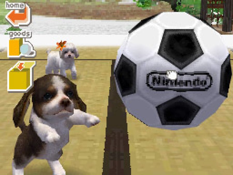 Nintendogs Screenshot