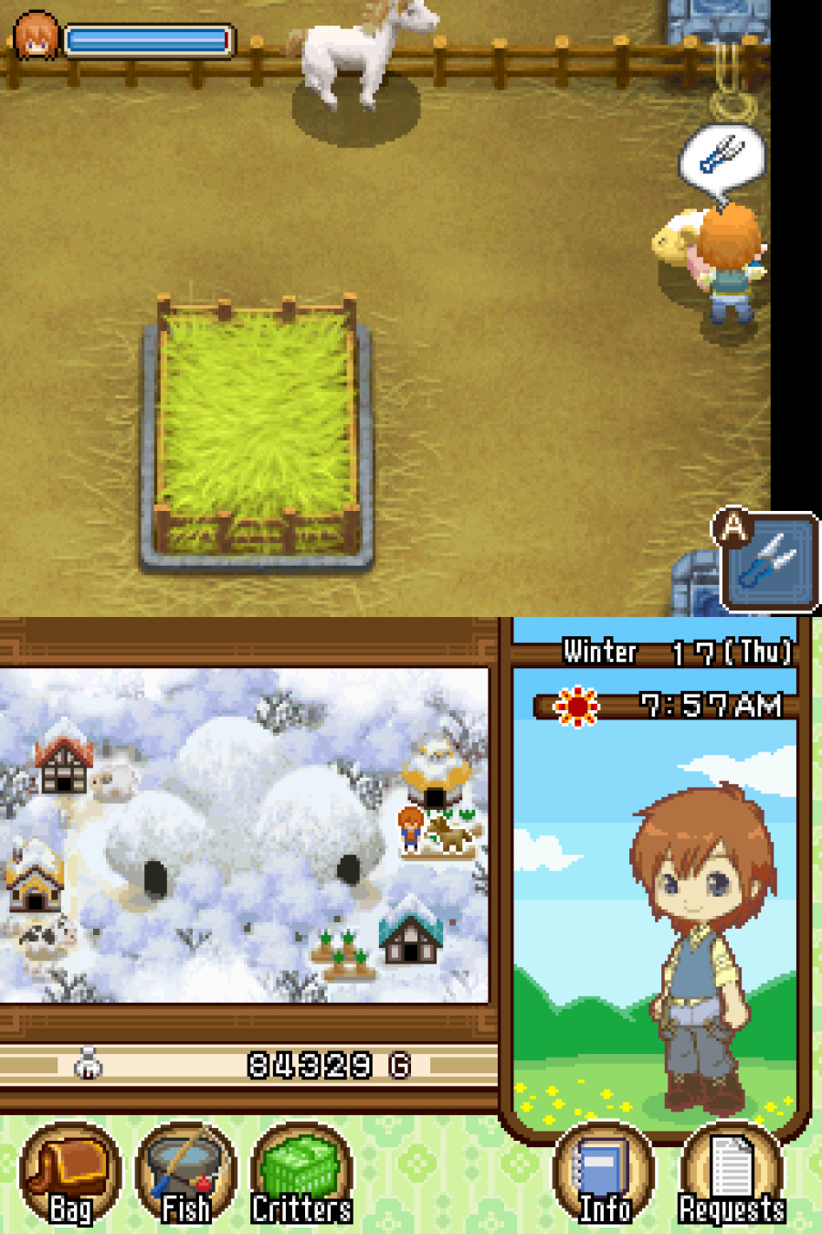 Harvest Moon DS: The Tale of Two Towns Screenshot