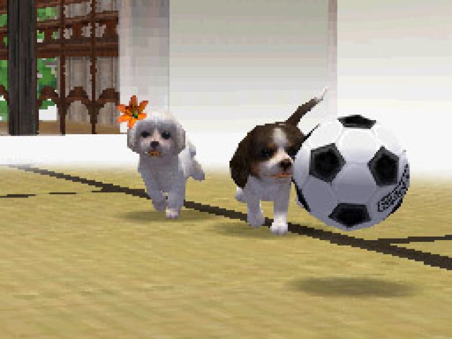 Nintendogs Screenshot