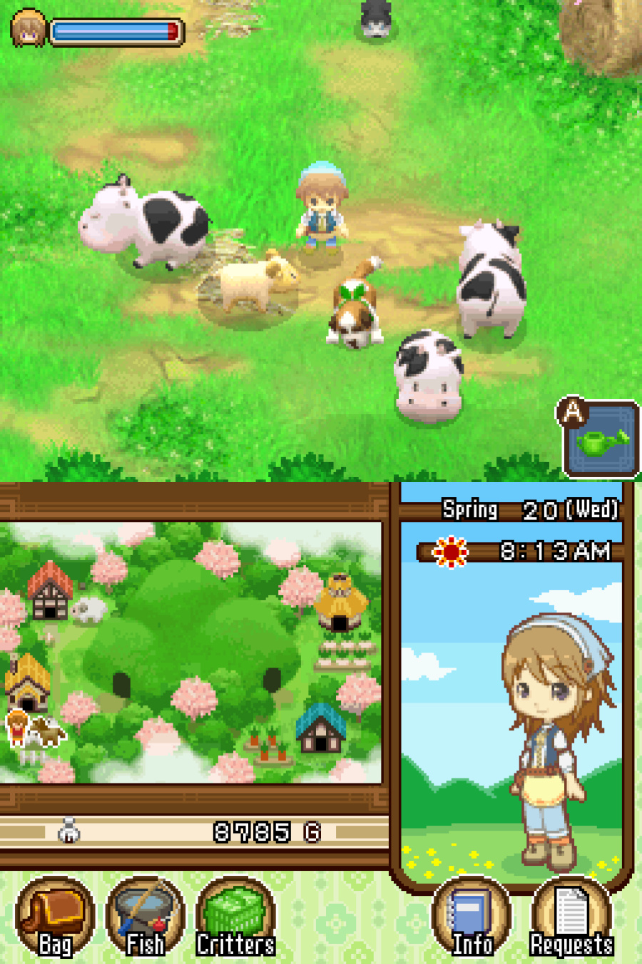 Harvest Moon DS: The Tale of Two Towns Screenshot