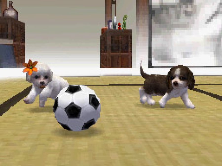 Nintendogs Screenshot