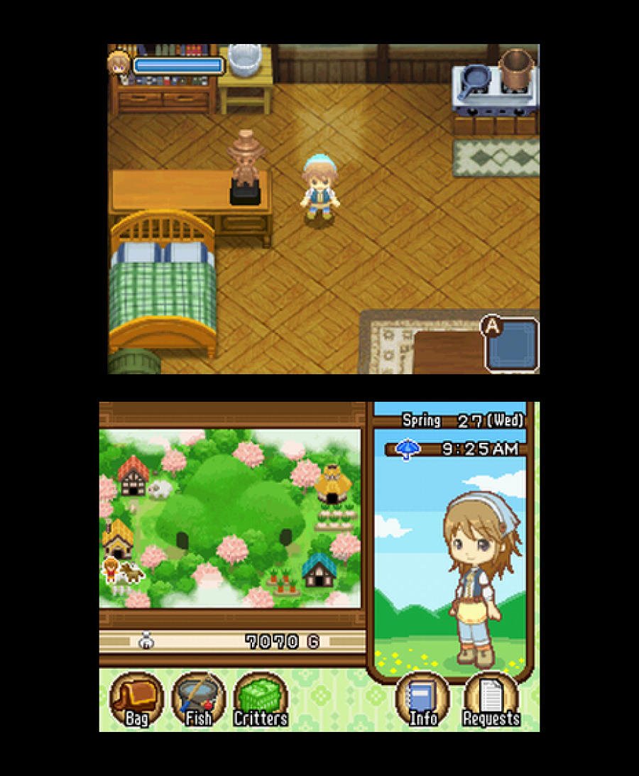 Harvest Moon DS: The Tale of Two Towns Screenshot