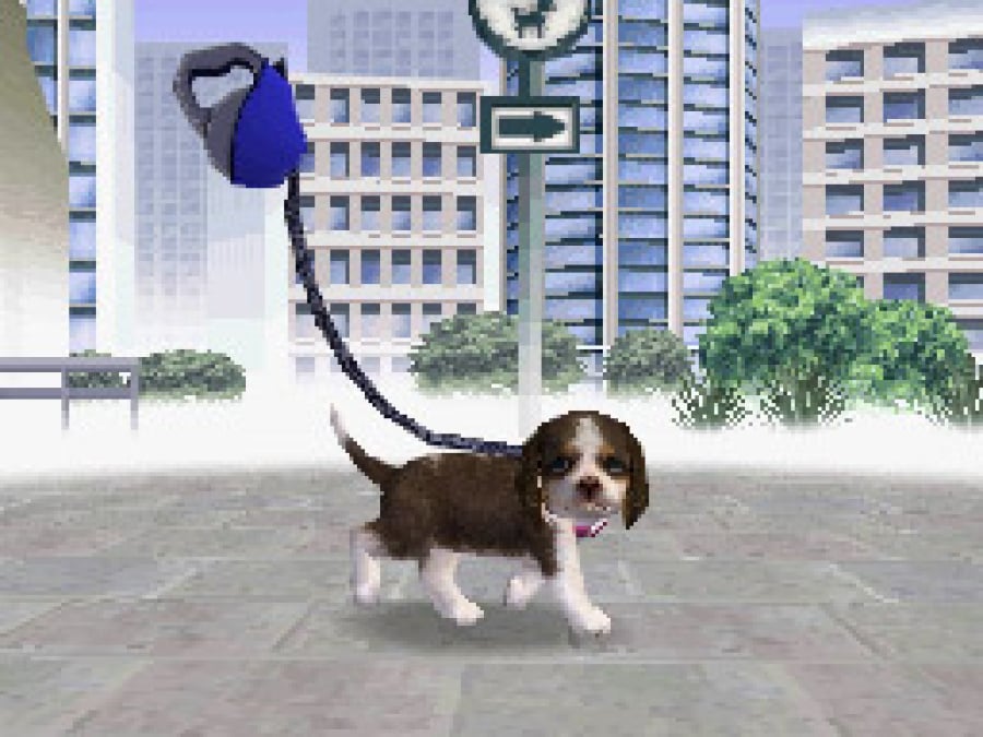 Nintendogs Screenshot