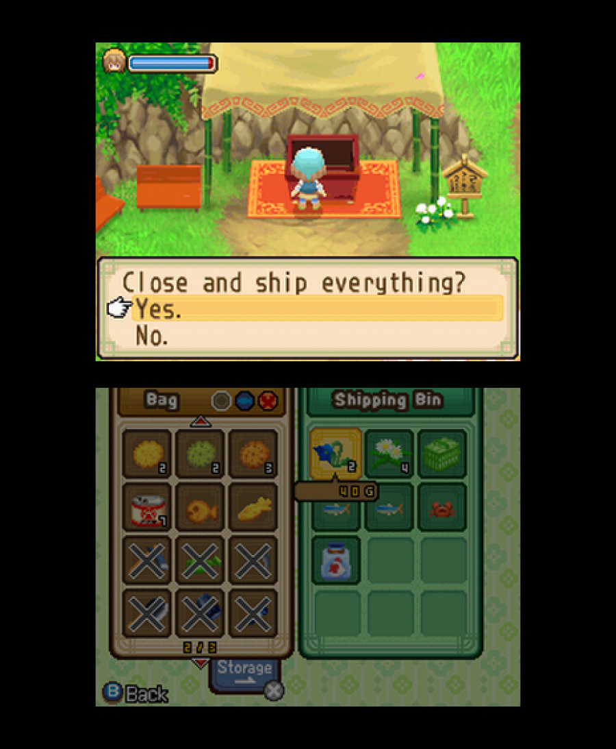 Harvest Moon DS: The Tale of Two Towns Screenshot