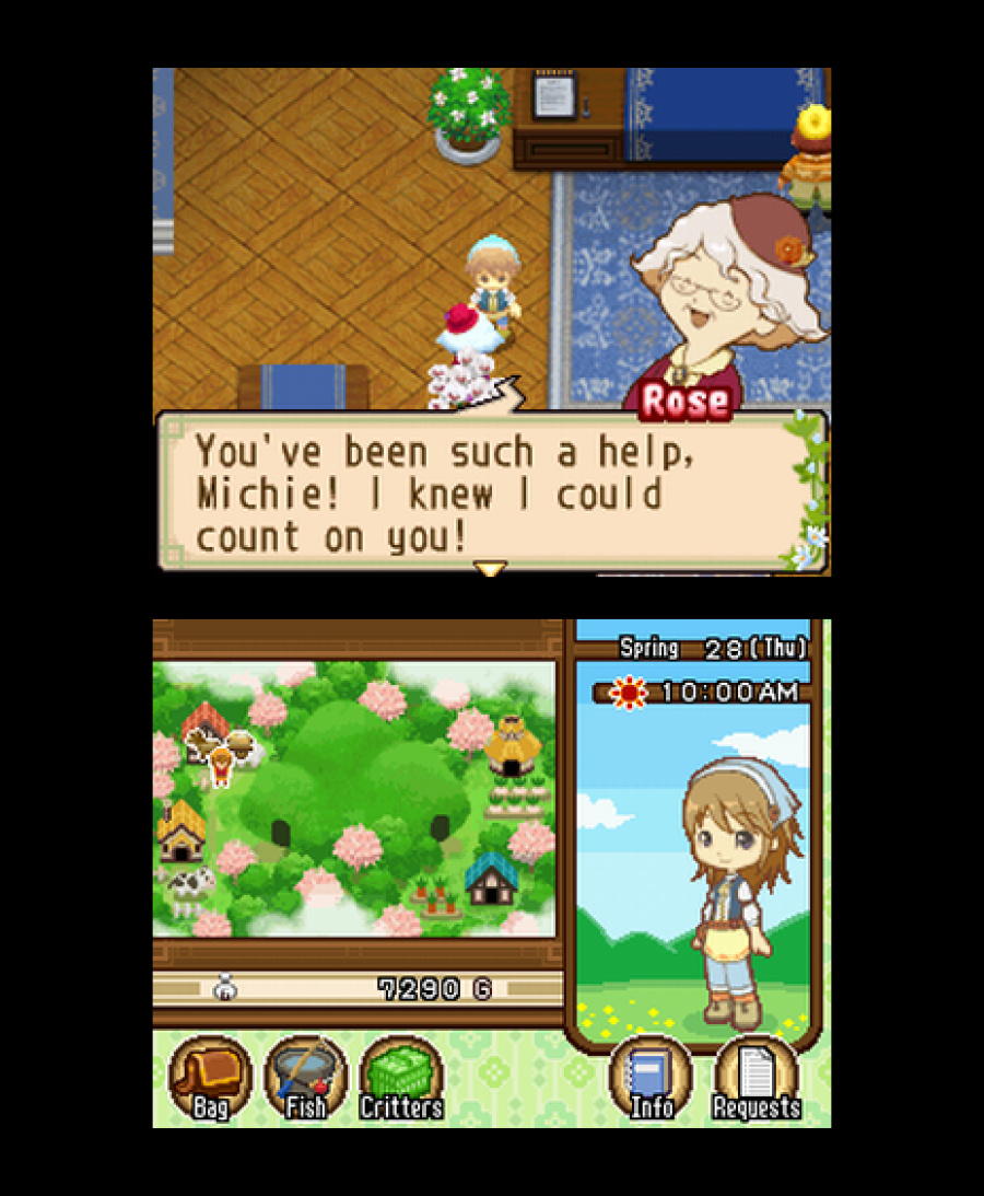 Harvest Moon DS: The Tale of Two Towns Screenshot