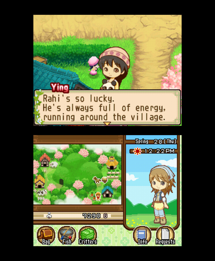 Harvest Moon DS: The Tale of Two Towns Screenshot