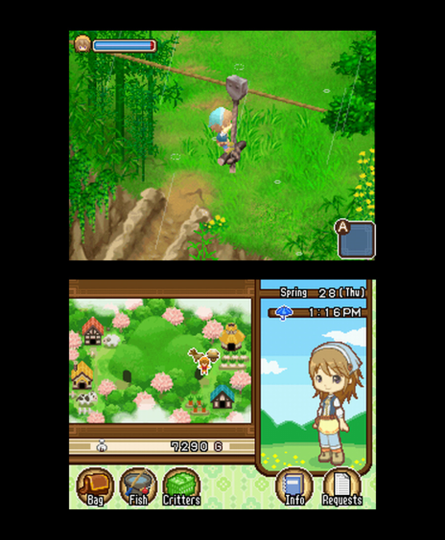 Harvest Moon DS: The Tale of Two Towns Screenshot