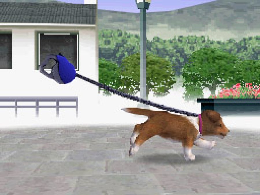 Nintendogs Screenshot