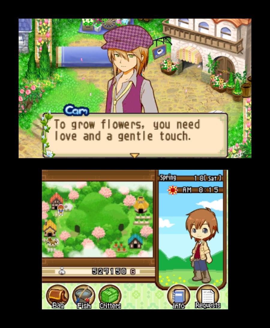 Harvest Moon 3D: The Tale of Two Towns Screenshot