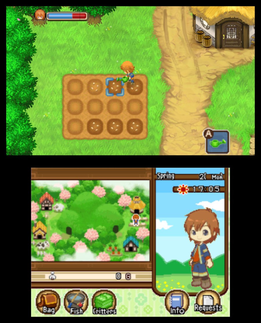 Harvest Moon 3D: The Tale of Two Towns Screenshot