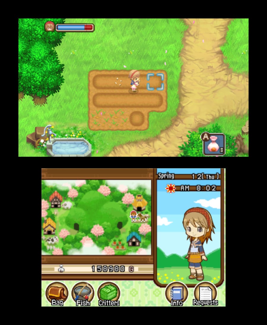 Harvest Moon 3D: The Tale of Two Towns Screenshot