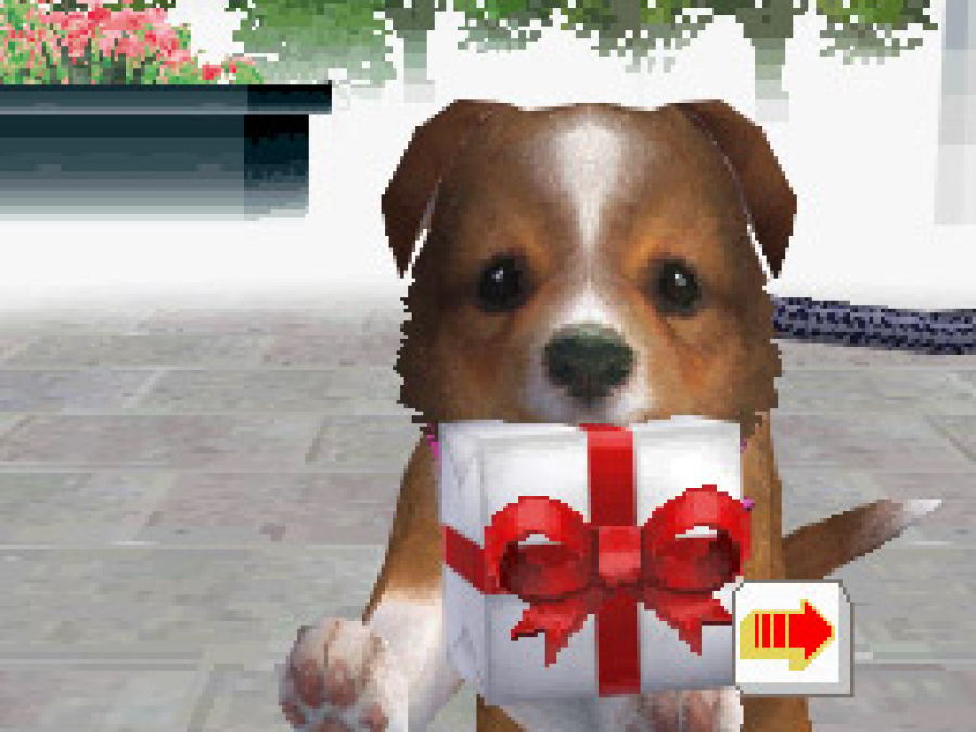 Nintendogs Screenshot