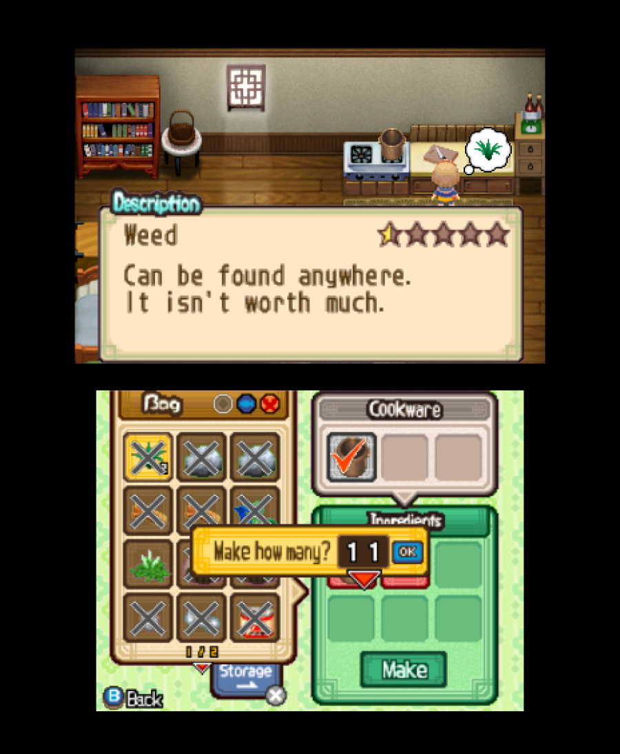 Harvest Moon 3D: The Tale of Two Towns Screenshot