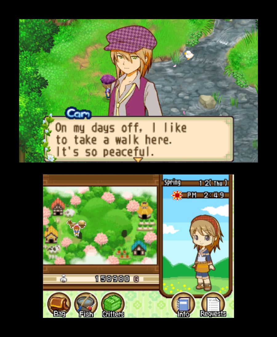 Harvest Moon 3D: The Tale of Two Towns Screenshot