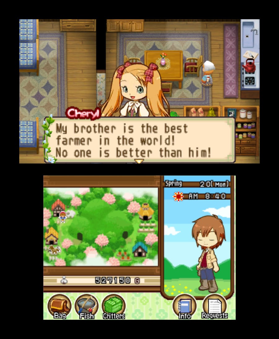 Harvest Moon 3D: The Tale of Two Towns Screenshot