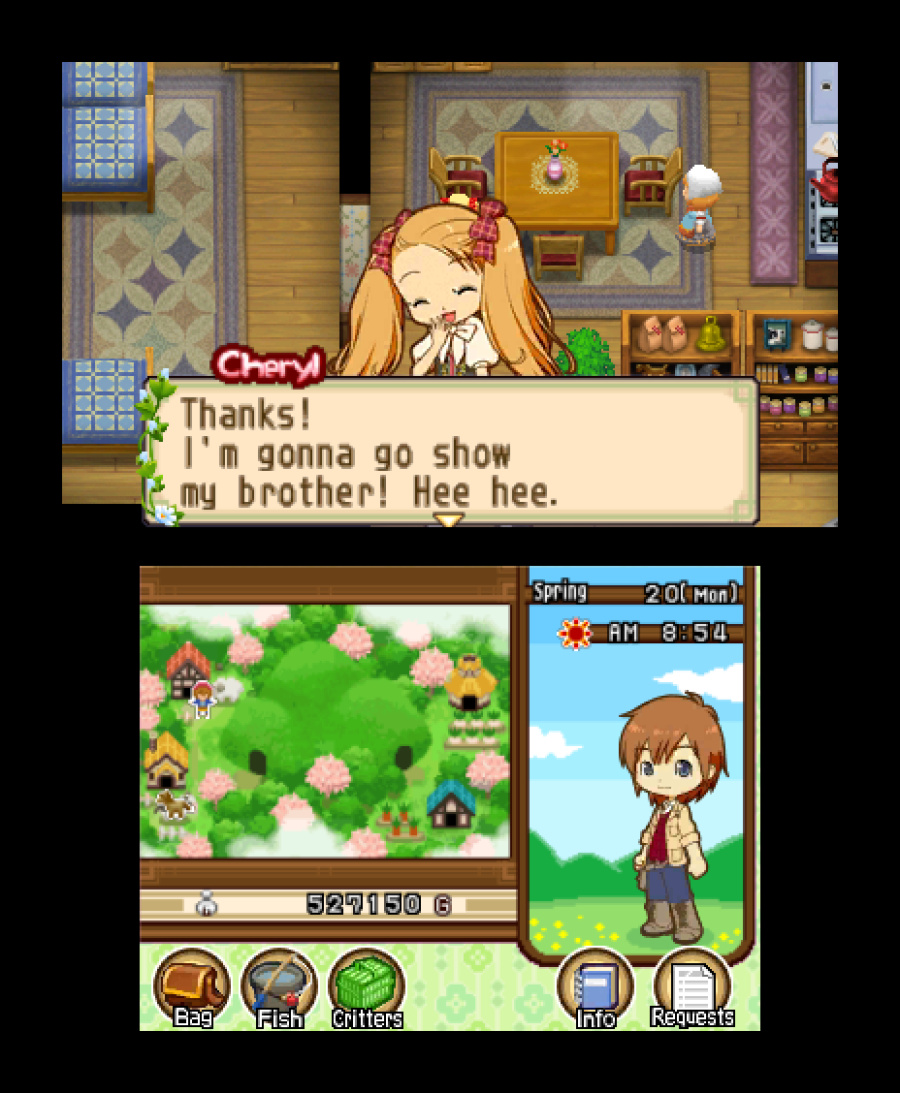 Harvest Moon 3D: The Tale of Two Towns Screenshot