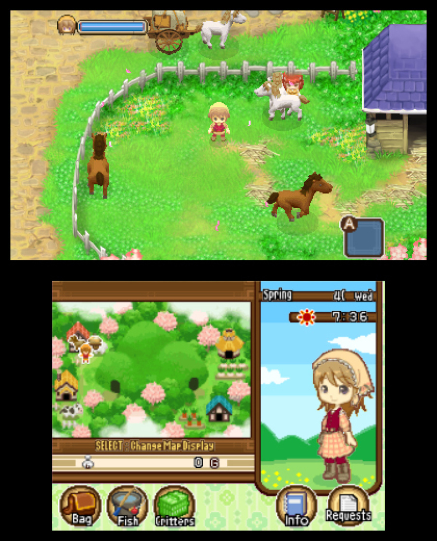 Harvest Moon 3D: The Tale of Two Towns Screenshot