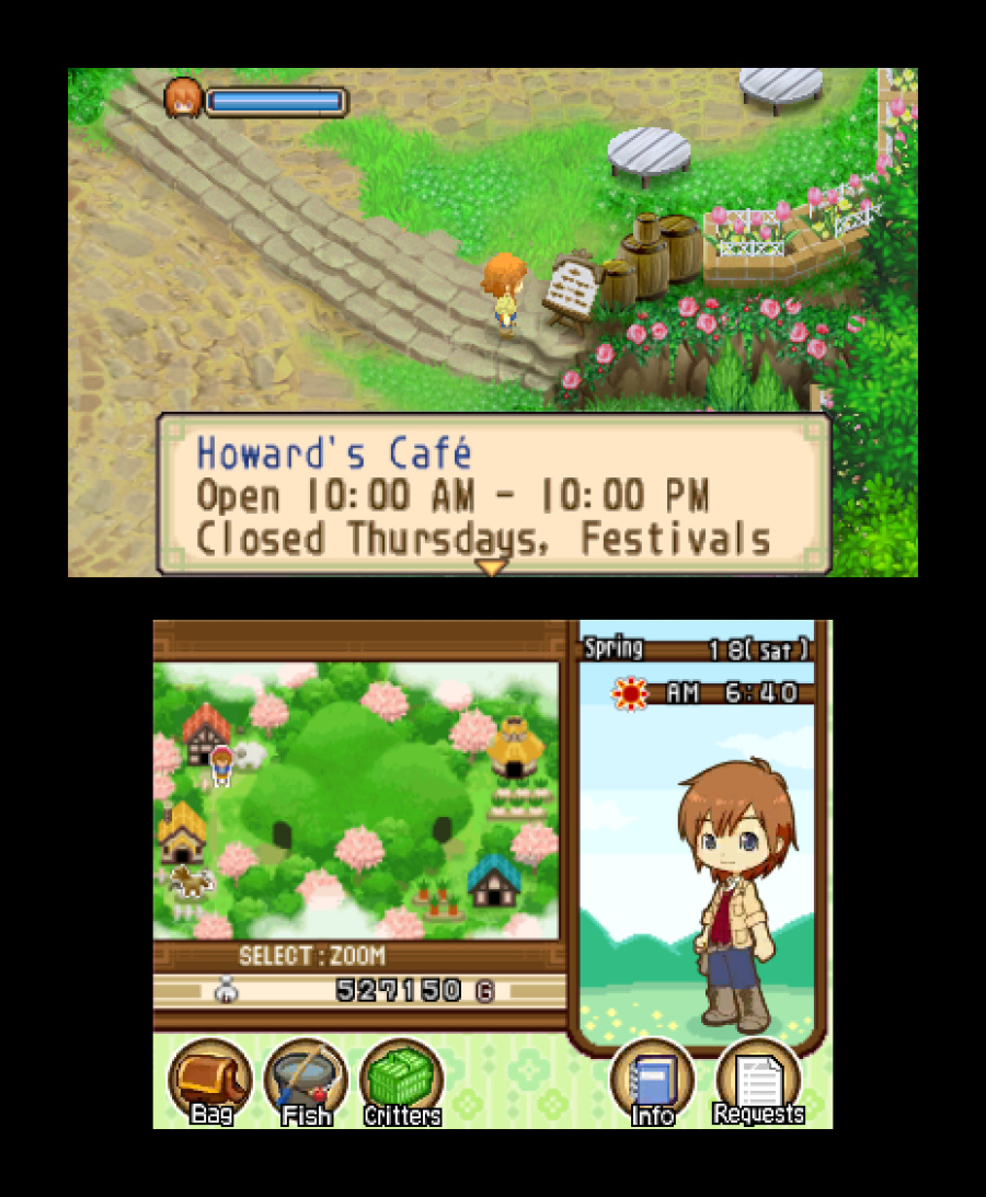 Harvest Moon 3D: The Tale of Two Towns Screenshot