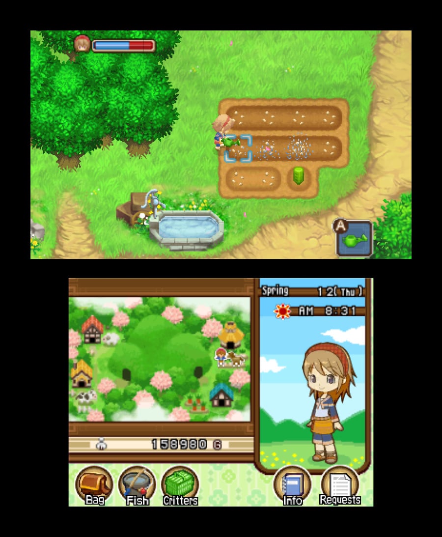 Harvest Moon 3D: The Tale of Two Towns Screenshot