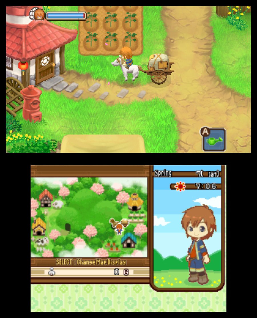 Harvest Moon 3D: The Tale of Two Towns Screenshot