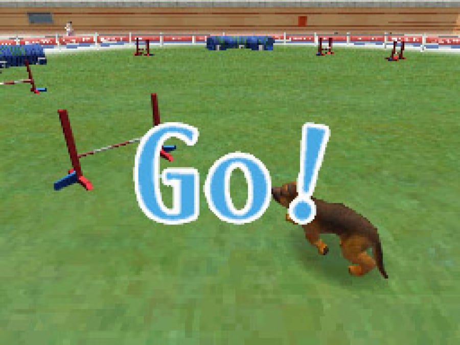 Nintendogs Screenshot