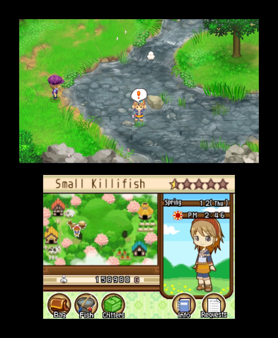 Harvest Moon 3D: The Tale of Two Towns Screenshot