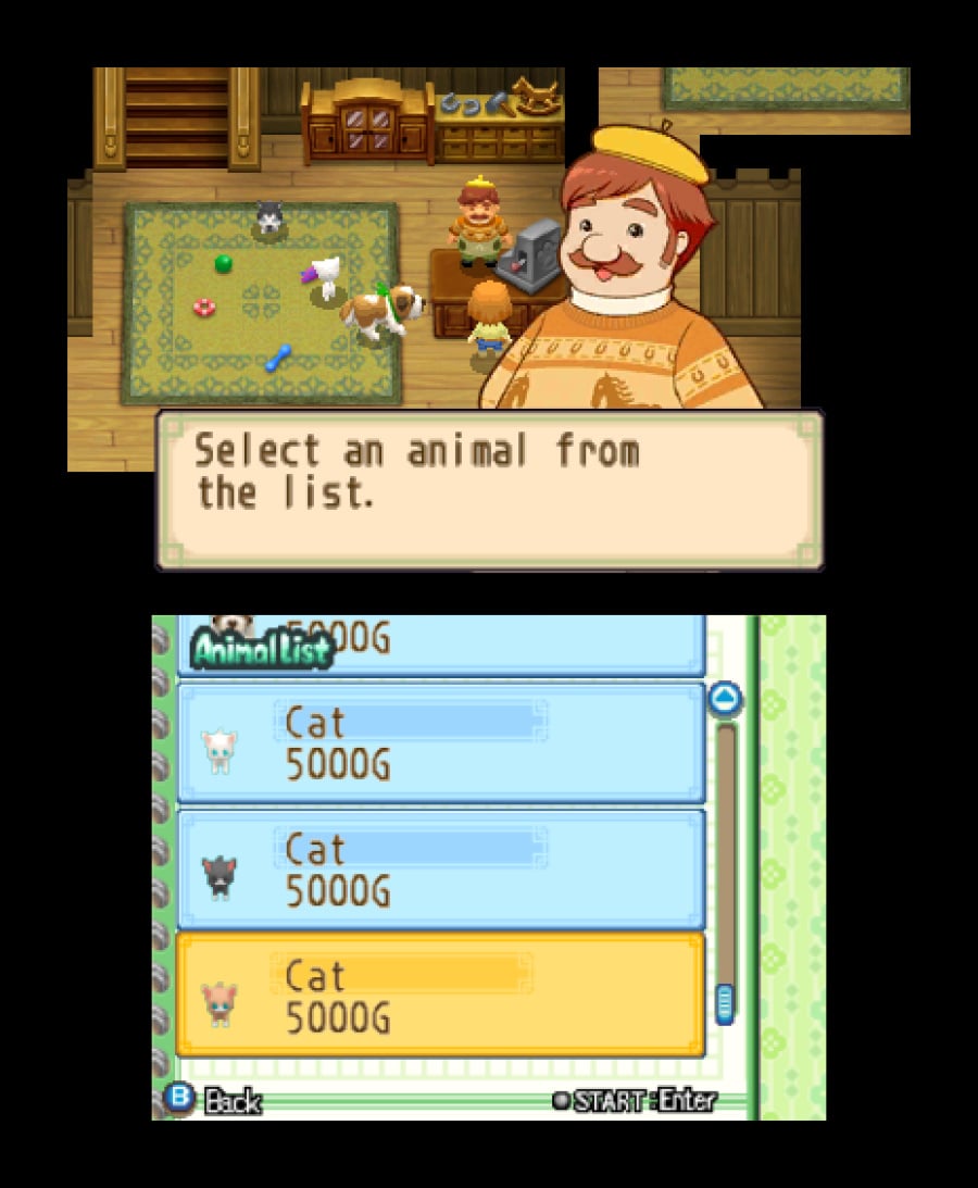 Harvest Moon 3D: The Tale of Two Towns Screenshot