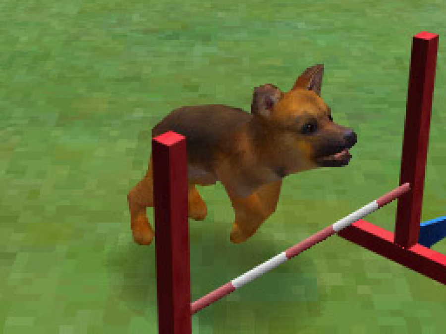 Nintendogs Screenshot