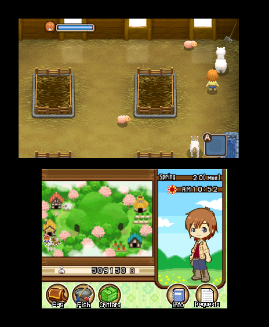 Harvest Moon 3D: The Tale of Two Towns Screenshot