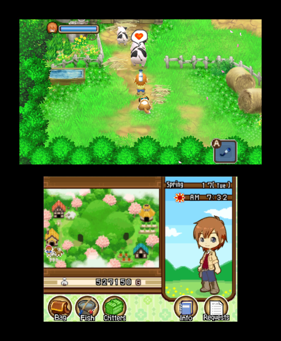 Harvest Moon 3D: The Tale of Two Towns Screenshot